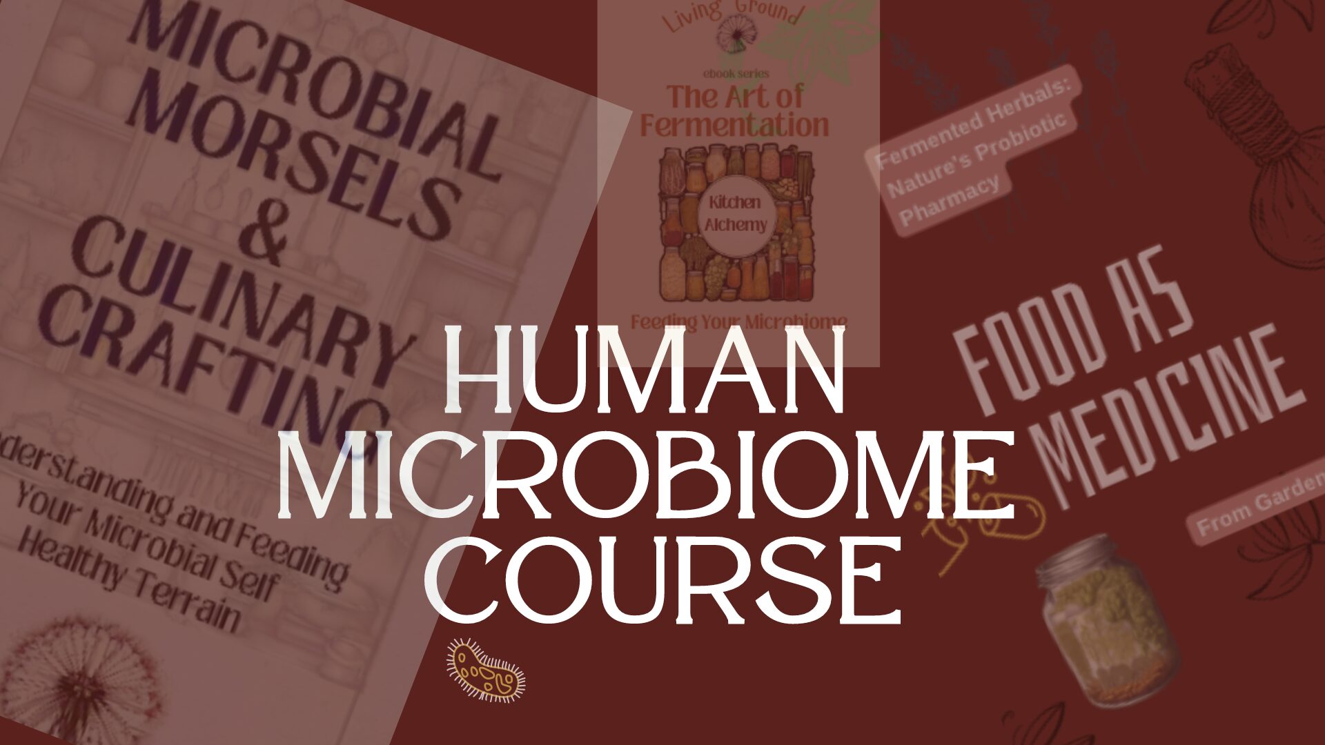 Human Microbiome